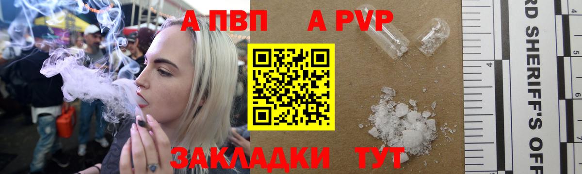 Alfa_PVP СК Сальск