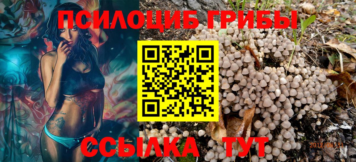 Галлюциногенные грибы MAGIC MUSHROOMS Сальск