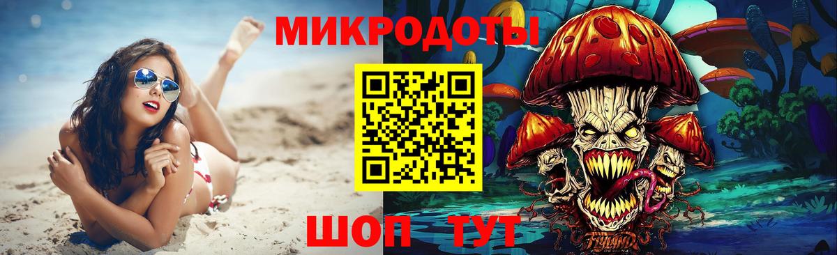 Галлюциногенные грибы Psilocybe  Вход с VPN  Сальск 